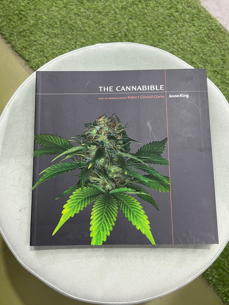 Cannabible – Plant Playground